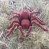 Remote Control Realistic RC Spider Toy for Kids - Scary Prank Vehicle