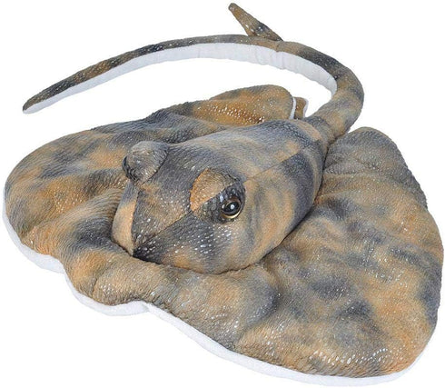 Wild Republic Southern Ray Plush, Stuffed Animal, Plush Toy, Gifts for Kids,