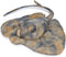 Wild Republic Southern Ray Plush, Stuffed Animal, Plush Toy, Gifts for Kids,