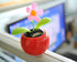 PowerTRC Dancing Flower | Solar Powered Desk, Window, or Car Decoration Gift Toy | Fun Swinging Flower, No Batteries