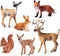 6 Pcs Simulated Forest Animal Models, Woodland Creatures Figurines Educational Props for Kids