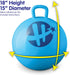 Hedstom Bluey Hopper Ball - Jumping Ball for Kids, 15 Inch (55-7553)
