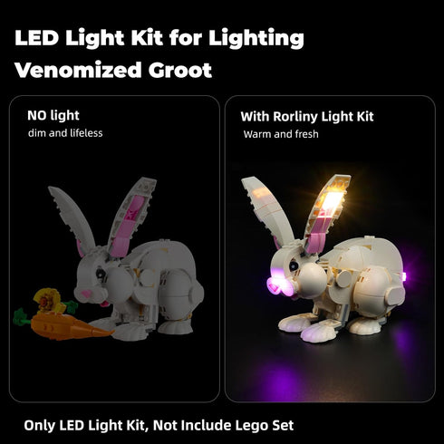 LED Light Kit for Lego-31133 White Rabbit, Compatible Lighting Set for Lego Building Blocks Model (Lights Only)