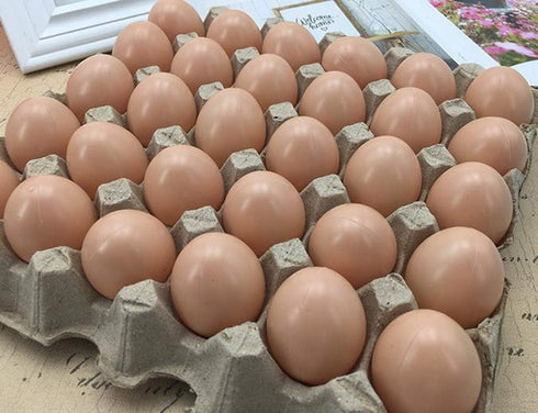 20 PCS Plastic Fake Eggs for DIY Easter Eggs, Painting and Realistic Egg Projects