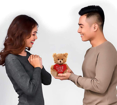 Plushland Mocha Heart Bear - 9 Inch Plush Toy for Kids & Adults, Embroidered Heart Pillow, Brown