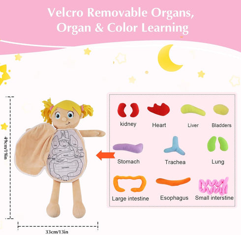 vocheer Human Body Anatomy Toy, Montessori Educational Organ Plush Toys for Kids, Science Learning Kits