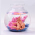 6 Pack Colorful Magic Sand - Amazing Hydrophobic Sand Space Sand, Never Gets Wet Magic Sand,Colored Play Sand - Gifts