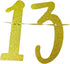 Level 13 Unlocked Banner for 13th Birthday Party Decorations - Video Game Theme Sweet 13 Supplies for Boys Girls