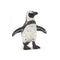 Papo Hand-Painted Marine Life Figurine - African Penguin Figure-56017 - Collectible for Children