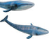 Gemini&Genius Blue Whale Sea Animal Action Figure, Ocean Shark Whale Model Toy for Kids and Collectors