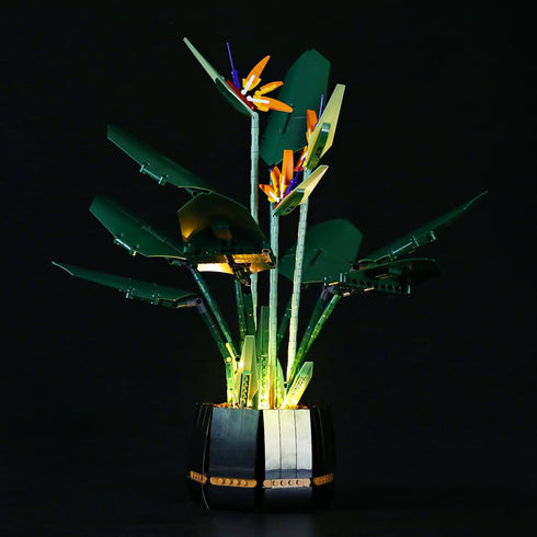 LIGHTAILING LED Light for 10289 Bird of Paradise Building Blocks Model - Model Set Not Included