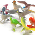 Animal Assorted Mini Plastic Figures Toy Set, Educational Party Cake Topper, Goody Bag Filler (12pcs Bird)