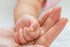 Ora's Amazing Herbal Travel Size Natural Baby Oil, Calendula Oil for Baby, Infant Massage, Cradle Cap, Hair Oil