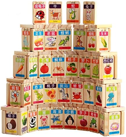 New Chinese English Language Learning Wooden Blocks, Domino Children's Educational Product, 100pcs