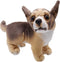 Lifelike Chihuahua Stuffed Animal, Animated Plush Puppy Toy, Super Realistic Dogs, Excellent Gifts for Kids Birthday