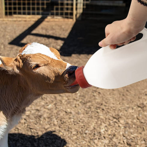 MODUODUO 2.11 Calf Bottle with a Replacement Nipple Quart Milk Feeder Nursing Feeding Bottle