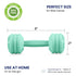 Silicone Baby Dumbbell Toy, Weight Rattle Sensory Teether for Babies, Great Gift for Boys or Girls (Mint)