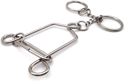 4 Sets Advanced Metal Brain Puzzles Teasers Toys, Magic Puzzles for Kids and Adults