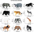 12 Pcs Realistic Mini Safari Zoo Animal Figurines - Plastic Educational Playset for Cake Toppers and Parties