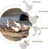 18PCS Arctic Animal Figures, Realistic Polar Animal Toys Figurines for Kids Toddlers, Plastic Ocean Sea Animal Figures with Arctic Fox Wolf Snowy Owl Polar Bear Reindeer Bluga Whale