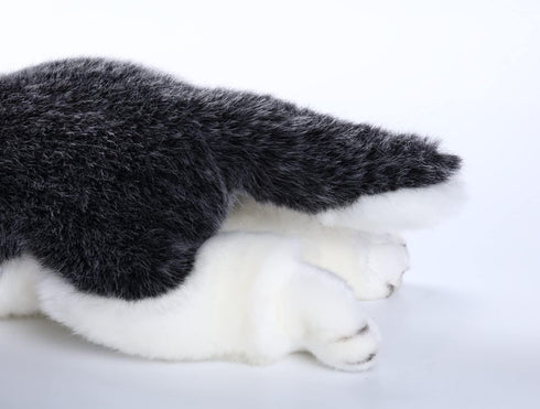 CU-MATE Siberian Husky Stuffed Dog Animal Simulation-Realistic & Lifelike Soft Handmade Lying Dog Plush Toy Puppy
