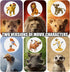 12-Pc Mini Animal Action Figures, Collectible Toys for Kids, Ideal for Cake Toppers & Desktop Decorations