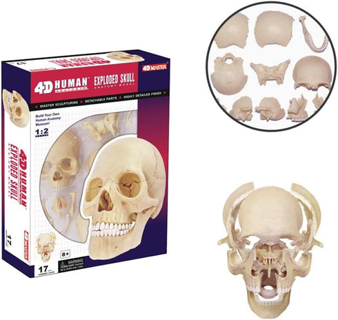 4D Master 26086 Human Anatomy Exploded Skull Model 3D Puzzle, One Color