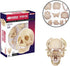 4D Master 26086 Human Anatomy Exploded Skull Model 3D Puzzle, One Color