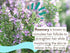 Babo Botanicals Eucalyptus Remedy 2-in-1 Bubble Bath & Wash - Invigorating Eucalyptus, Rosemary & Peppermint for All