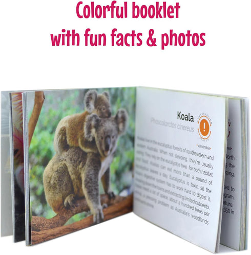 Menique Wild Animals Memory Matching Game, 80 Cards with Real Photos, Educational Booklet Included for Kids & Adults