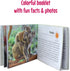 Menique Wild Animals Memory Matching Game, 80 Cards with Real Photos, Educational Booklet Included for Kids & Adults