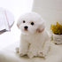 Tiny Heart Simulation Maltese Dog Plush Toys, Realistic 10inch Stuffed Animal for Kids Birthday Gifts and Home Decor