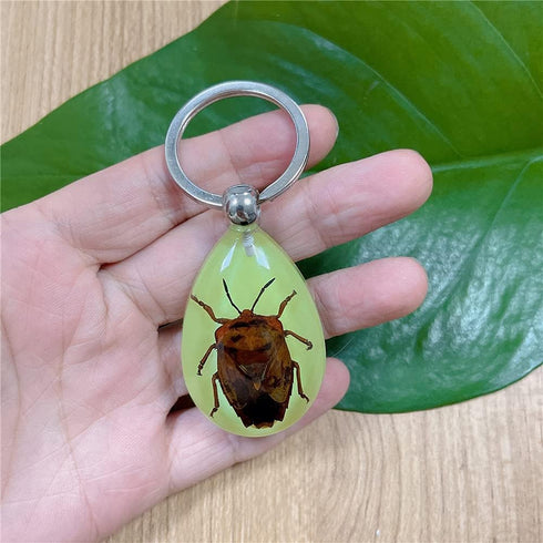 6 Pack Insect in Resin Specimen Collection, Luminous Glow in The Dark Keychain for Education