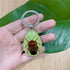 6 Pack Insect in Resin Specimen Collection, Luminous Glow in The Dark Keychain for Education