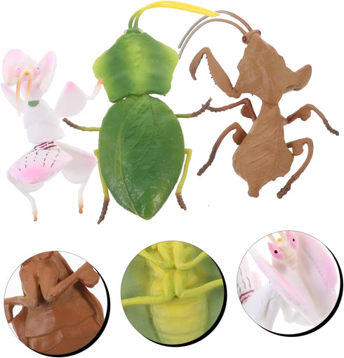 TOYANDONA Desktop Decor - 3pcs Plastic Playes Realistic Simulation Model Small Mantis Decoration