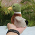 Cute Mallard Duck Plush Stuffed Animal, 5.5 Inch Lifelike Green Duck Plushie Toy for Kids Birthday Gifts