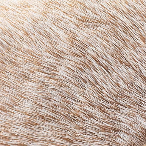 DEMDACO Huddled Small Hedgehog - Wispy Chestnut Children's Plush Stuffed Animal