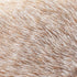 DEMDACO Huddled Small Hedgehog - Wispy Chestnut Children's Plush Stuffed Animal