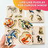 QUOKKA Wooden Puzzles for Toddlers 1-3 - 4 Set Animal and Birds Pegged Learning Toy for Kids Gift