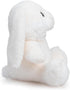 10inch HollyHOME Bunny Stuffed Animal, Easter Bunny Plush Toys, Soft and Cuddly Stuffed Rabbit Easter Gift for Kids