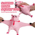CHEROSIN 2Pack Cute Squishy Pig for Kids and Adults - of Sensory Stress Relief Pig Squeeze Toys to Anxiety, Funny
