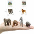 Realistic Animal Figurines Toys, Small Montessori Animal Figures with Flash Cards, Montessori Materials for Toddler