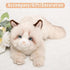 20 Inch- CU-MATE Gray Ragdoll Cat Plush Stuffed Animal Toys -Realistic Ann Baker Cat Handmade Plush Toy Present Gift