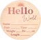 Hello World Newborn Sign - Baby Name Birth Announcement Plaque for Hospital