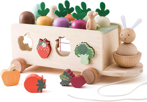 OESSUF Montessori Toys Toddlers Wooden Educational Toys for Baby Boys Girls, Shape