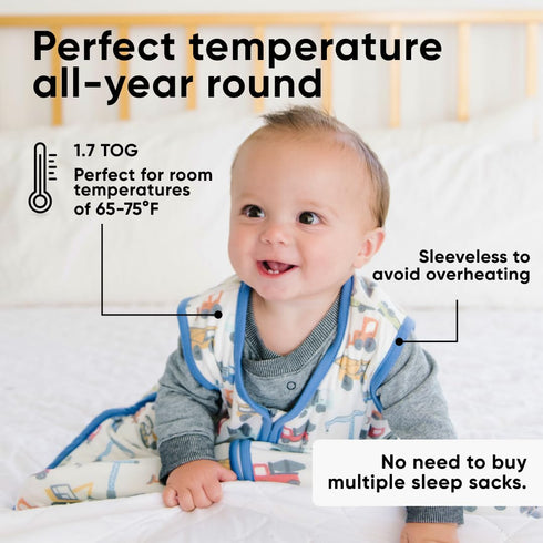 Cozy 24 Copper Pearl Sleep Sack: Warm and Baby Bag in a Variety of Trendy Designs, Safe Alternative to Blankets
