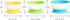 Munchkin Stay Put Suction Bowls for Babies and Toddlers, 3 Pack - Blue/Green/Yellow