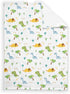 SqtmuHLuo Dinosaur Kids Baby Blanket for Boys Girls Dinosaur Cactus Palm Flannel Fleece