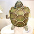 CARTBAE Turtle Shell Stuffed Animal - Soft and Comfortable Tortoise Plush Pillow, Creative Turtle Costume Plush Toy