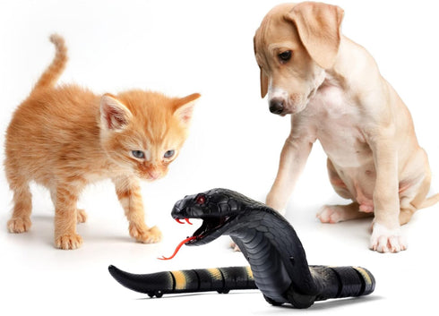 AMCHSURI RC Snake Toy: Realistic Prank Cobra, Rechargeable, Smart Sensing, Infrared Controller for Kids/Cat (Black)